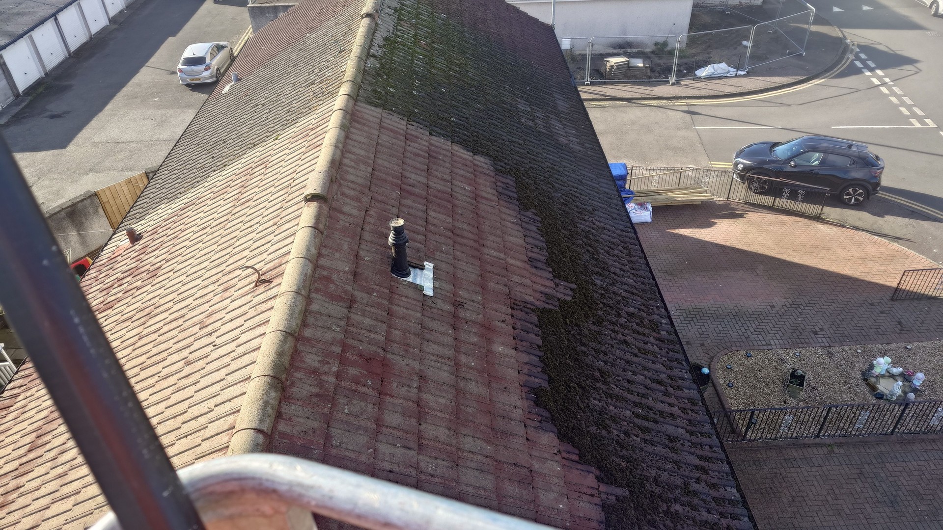 Roof cleaning